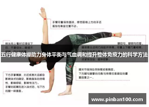 五行健康体操助力身体平衡与气血调和提升整体免疫力的科学方法